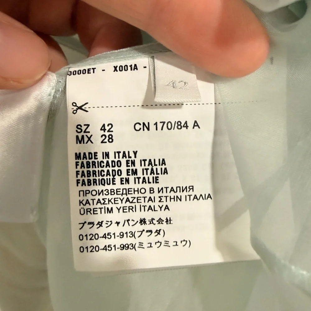 PRADA NWT  MASTER COLLECTOR Prada Silk Organza Dress - Gigi Hadid runway - Picture 6 of 8